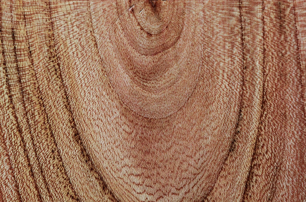 Wood texture